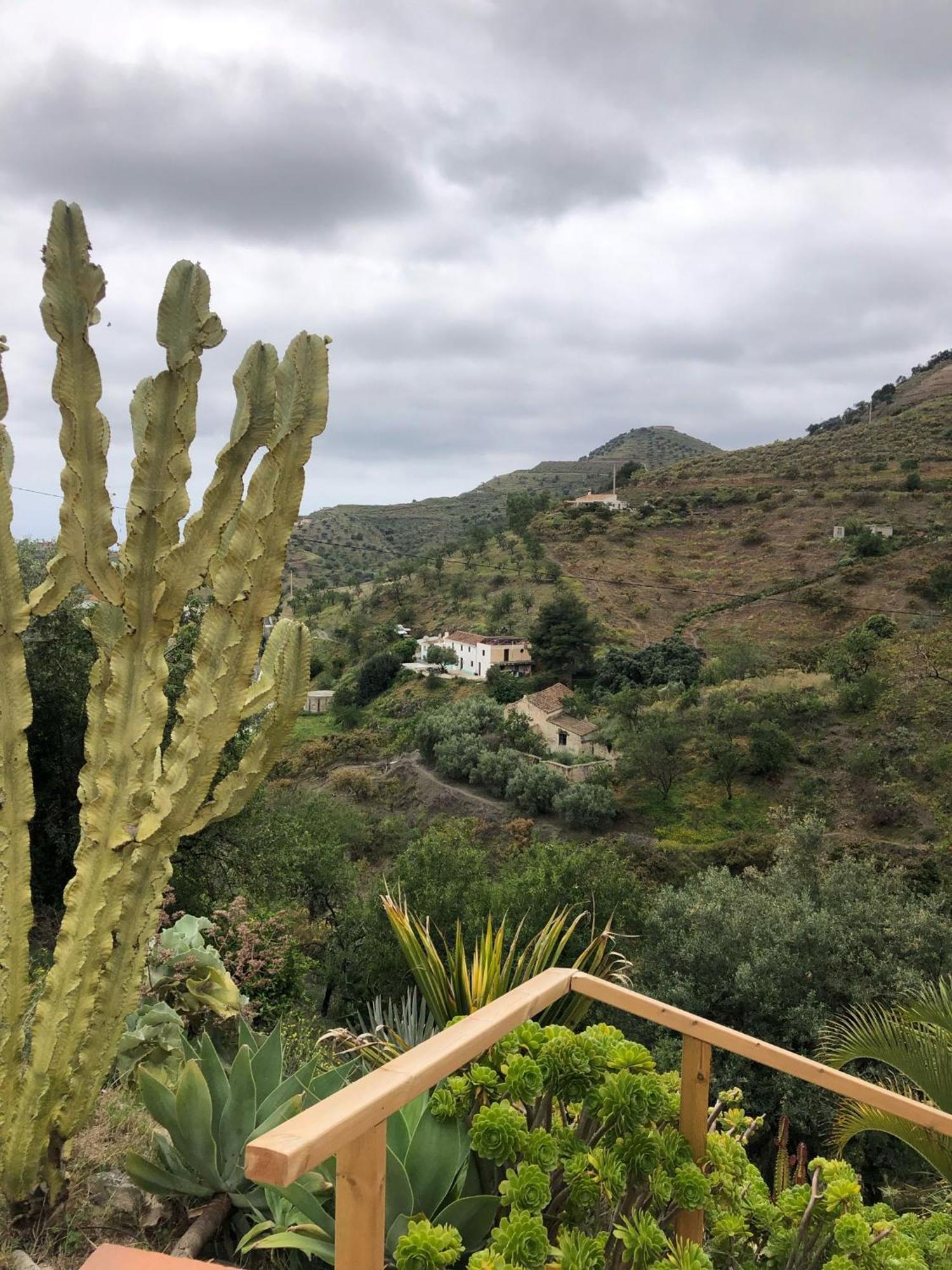 Villa Cortijo El Abejaruco Almuñécar Exterior foto